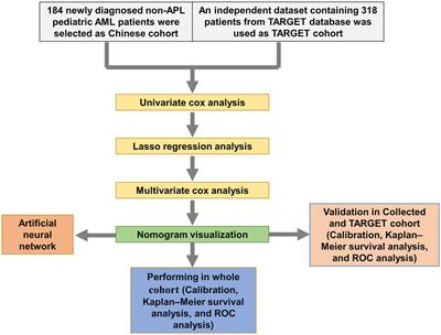 A scoring system based on fusion genes to predict treatment outcomes of the non-acute promyelocytic leukemia pediatric acute myeloid leukemia